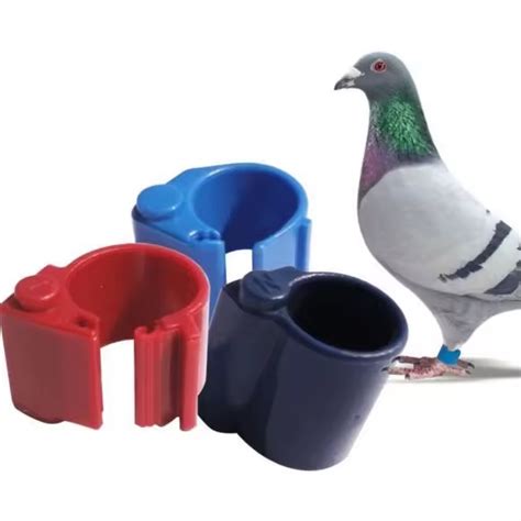 Master Pigeon Management with Advanced RFID Foot Ring Tags 